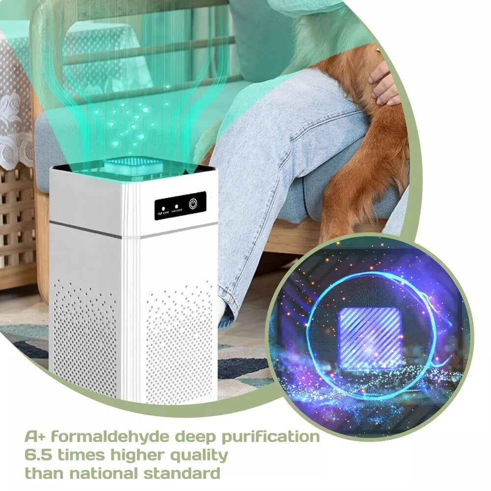 True HEPA Air Purifier for Home Large Room Allergies Smoke Odor Dust 215sqft