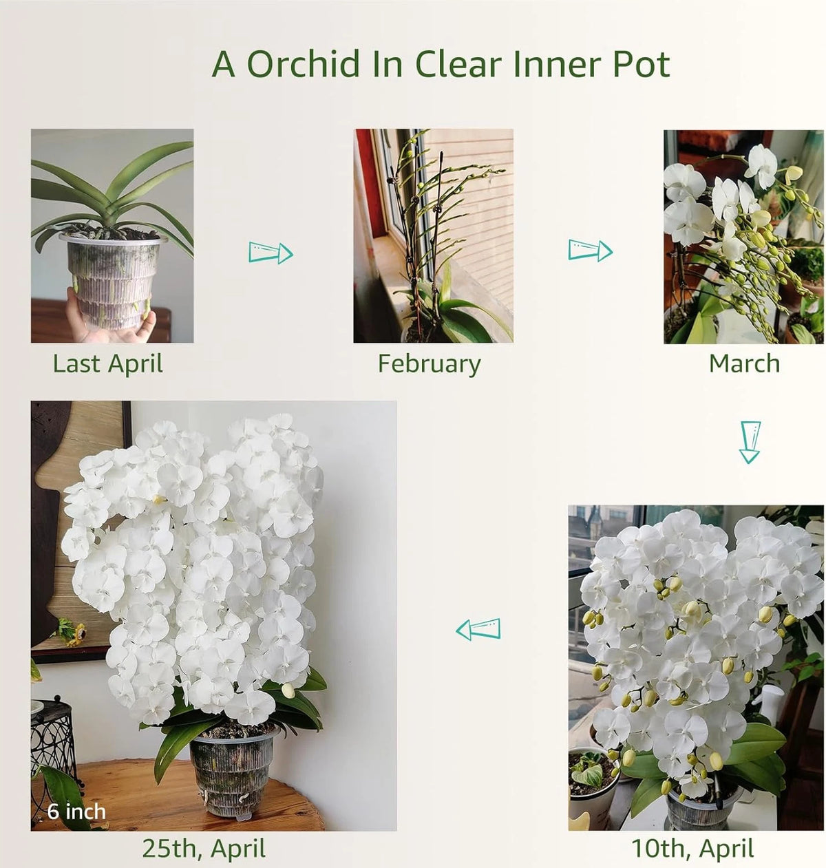 5" Orchid Pot with Drainage Holes - Double Layer Plastic Planter, Ceramic-Look Design